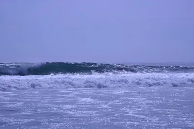 DSC_2131 (Large).JPG